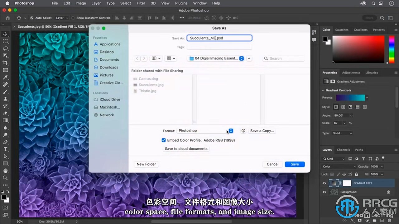 【中文字幕】Photoshop 2023全面核心技术训练视频教程