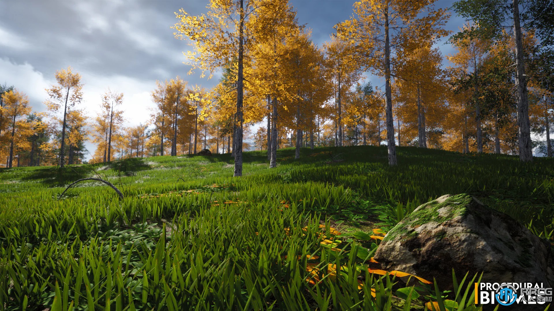 程序性生物群落游戏环境Unreal Engine游戏素材资源