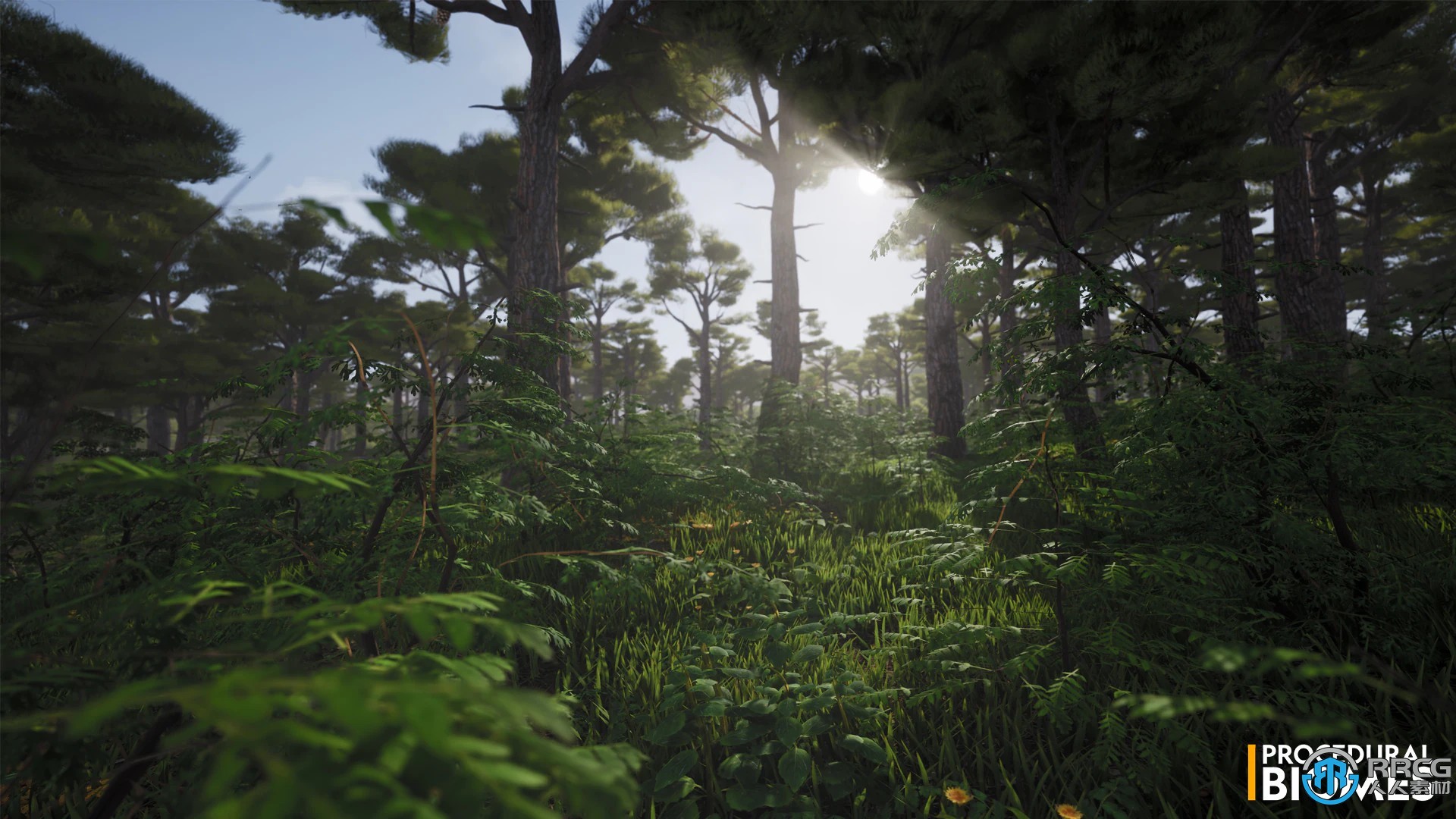 程序性生物群落游戏环境Unreal Engine游戏素材资源