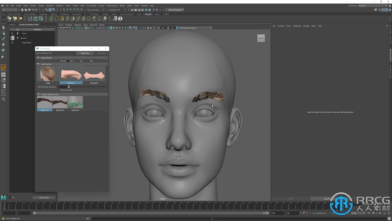 Ephere发布了Ornatrix Maya v4版 新增GraftGroom预设系统