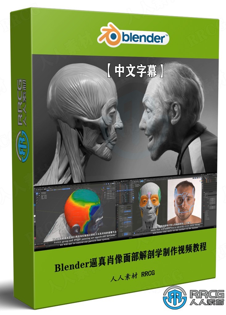 【中文字幕】Blender逼真肖像面部骨骼肌肉解剖学制作视频教程