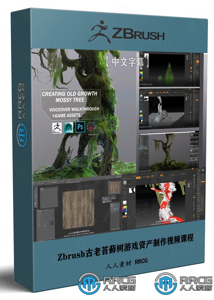 【中文字幕】Zbrush古老苔藓树游戏资产制作全流程视频课程