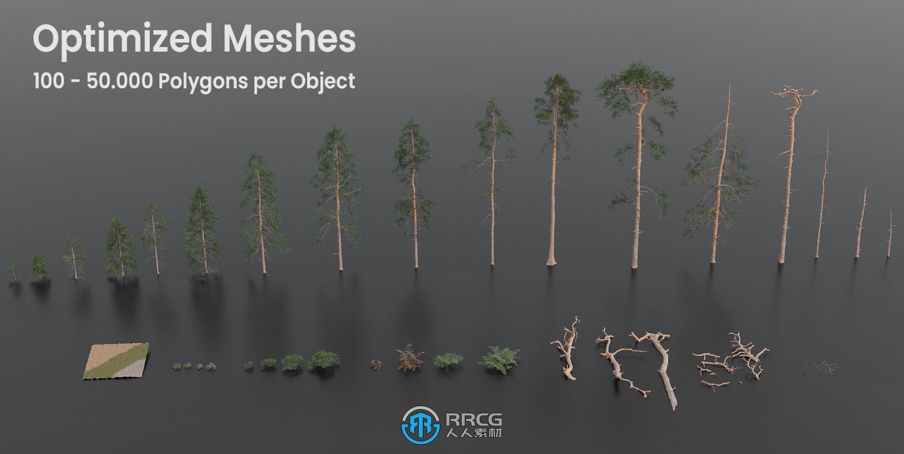 Dynamic Pine Biomes松树生物群落环境景观Blender插件