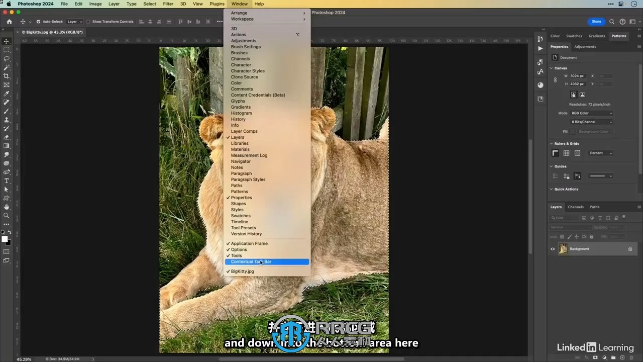 【中英双语】Photoshop 2024 AI人工智能功能入门训练视频教程