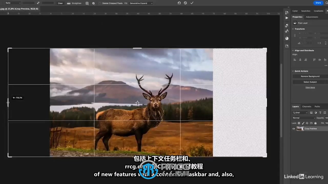 【中英双语】Photoshop 2024 AI人工智能功能入门训练视频教程