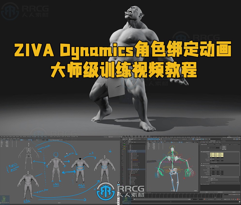 ZIVA Dynamics角色绑定动画大师级训练视频教程