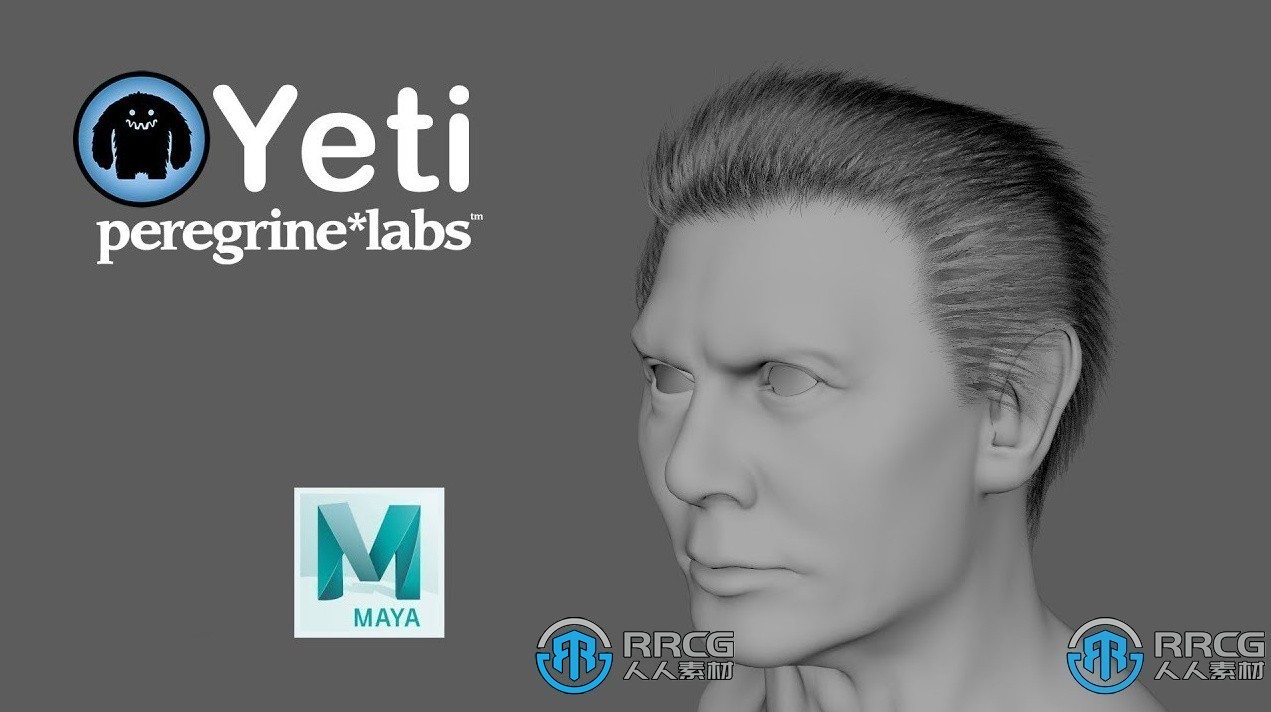 Peregrine Labs Yeti皮毛羽毛Maya插件V4.2.12版