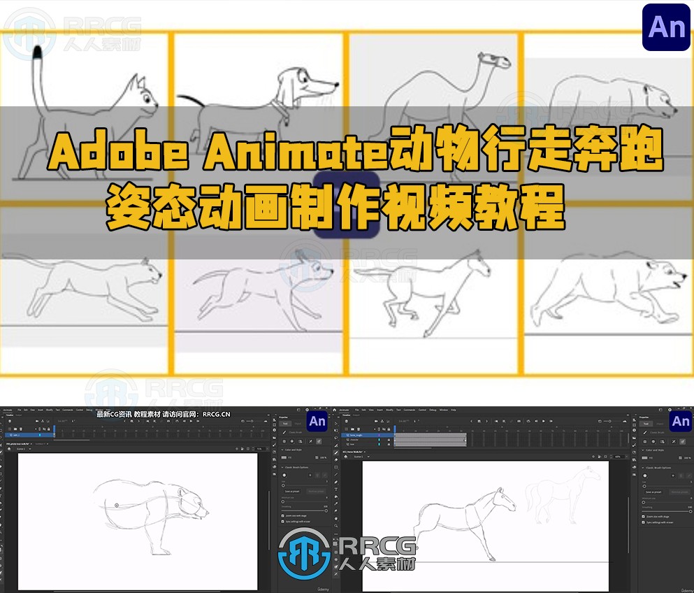 Adobe Animate动物行走奔跑姿态动画制作视频教程