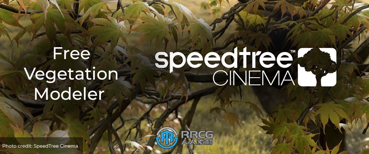 SpeedTree Modeler Games Pro树木植物实时建模软件V9.5.2版