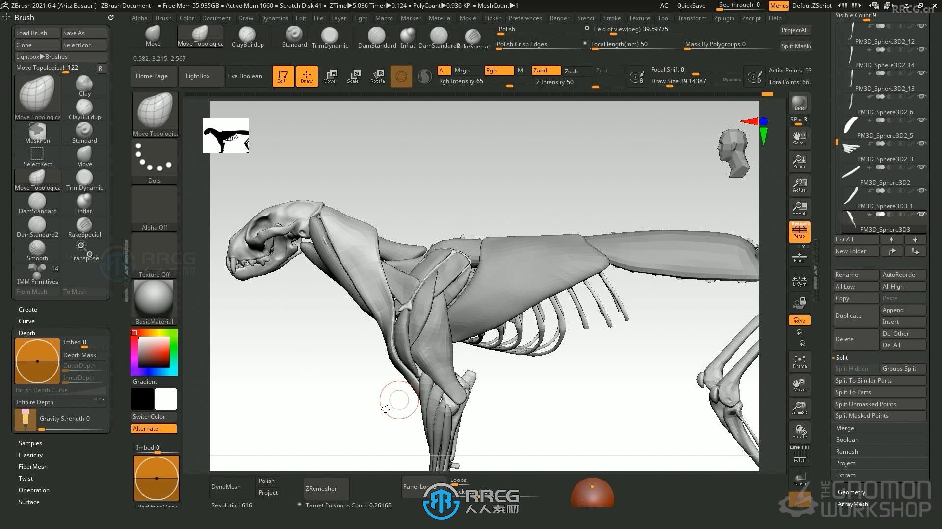 ZBrush逼真动物雕刻解剖学制作流程大师级视频教程