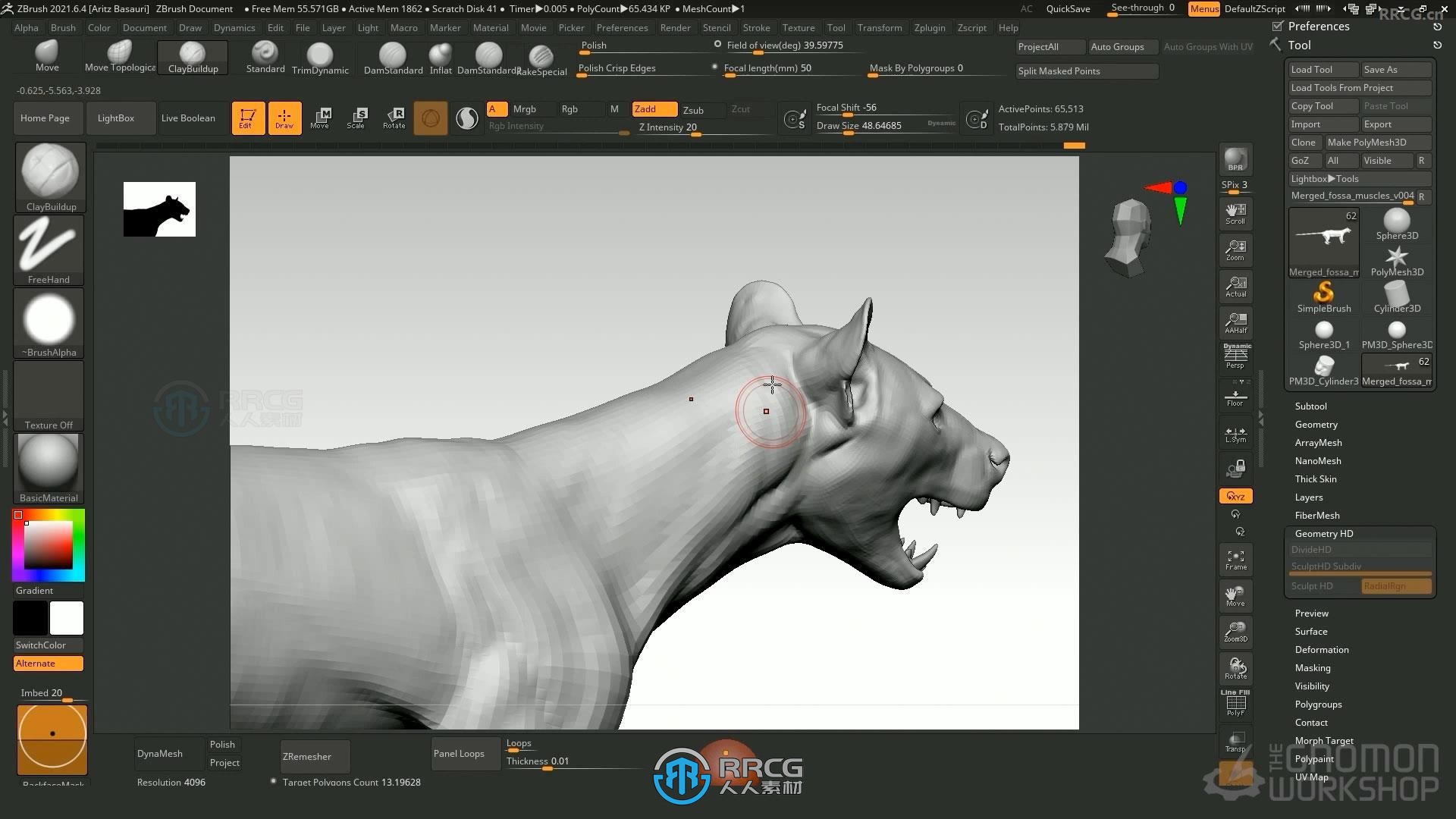 ZBrush逼真动物雕刻解剖学制作流程大师级视频教程