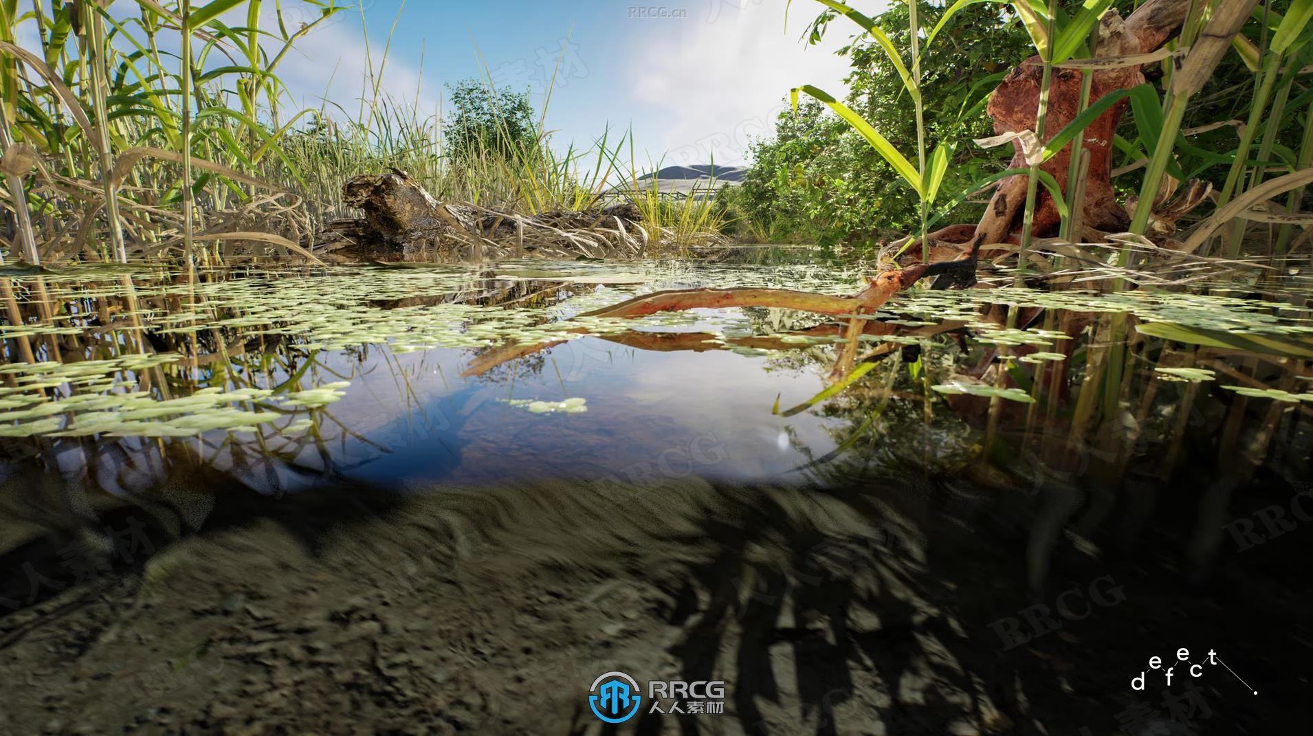 河流水域植物生物群落环境场景UE游戏素材