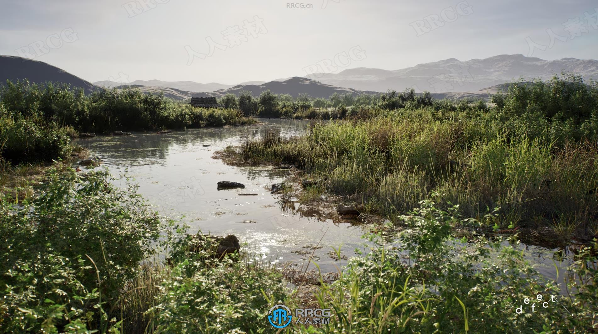 河流水域植物生物群落环境场景UE游戏素材