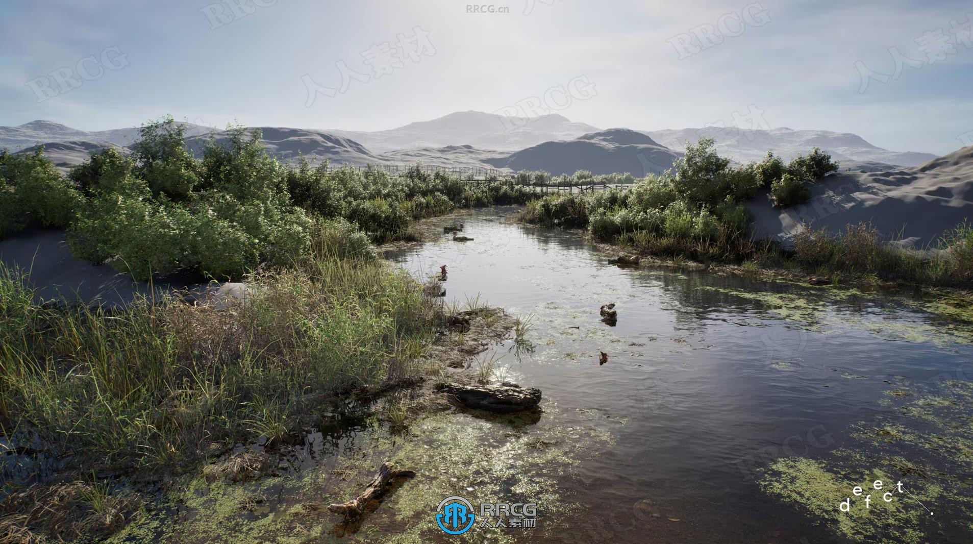 河流水域植物生物群落环境场景UE游戏素材