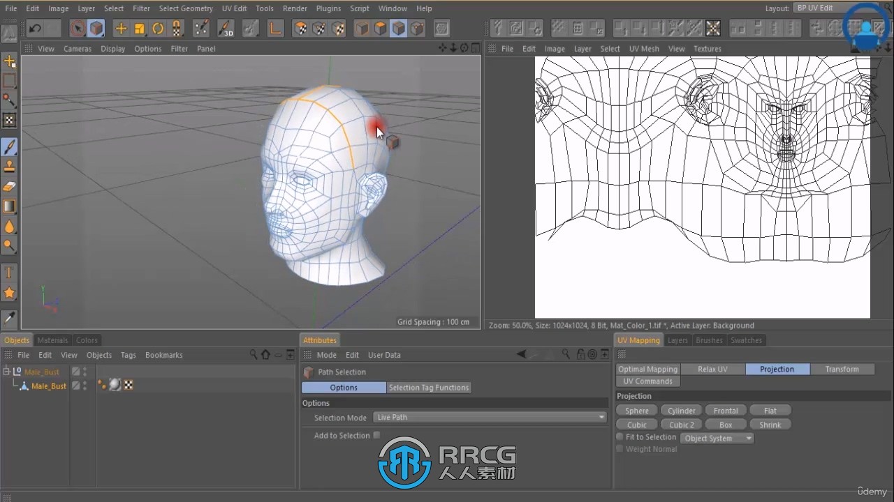 C4D 3D动画技术全面技能指南视频教程