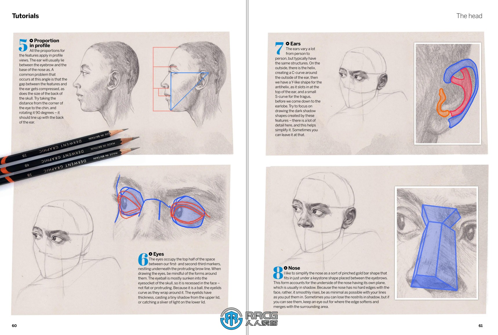 《Paint &amp; Draw Anatomy素描绘画解剖学》2024年第五版