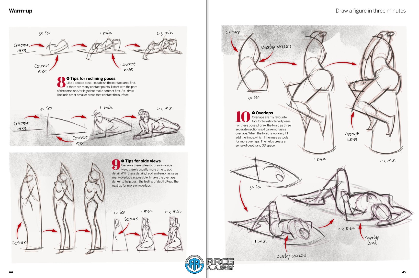 《Paint &amp; Draw Anatomy素描绘画解剖学》2024年第五版
