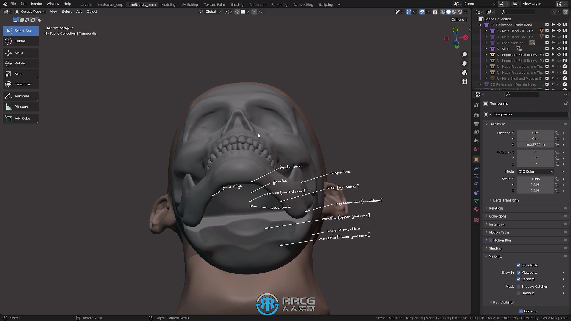 Blender人物头部数字雕刻大师班视频教程