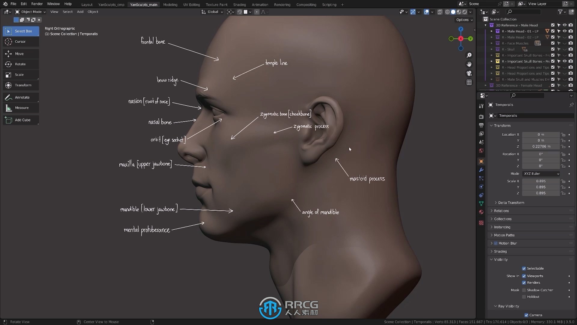 Blender人物头部数字雕刻大师班视频教程