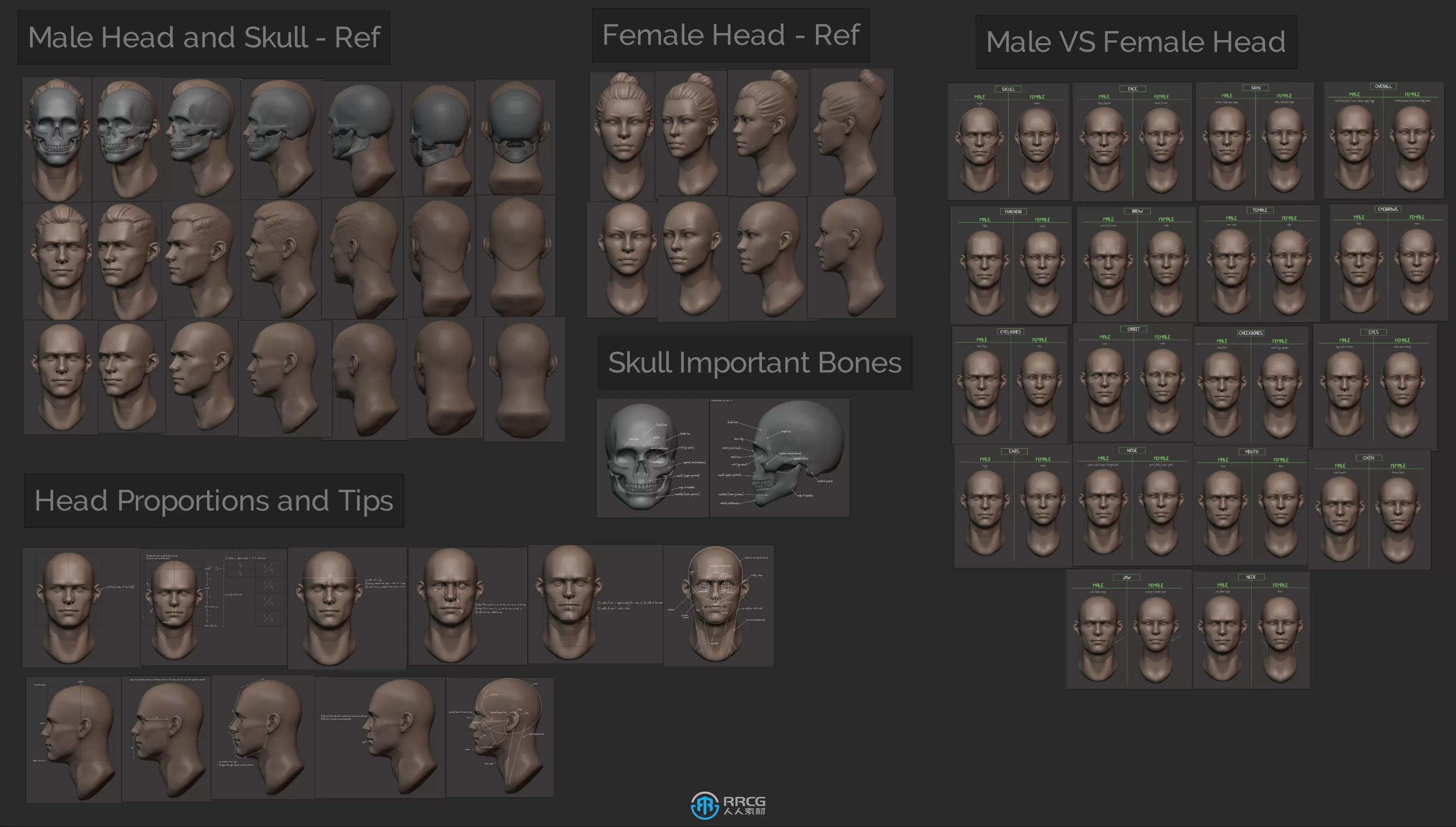 Blender人物头部数字雕刻大师班视频教程