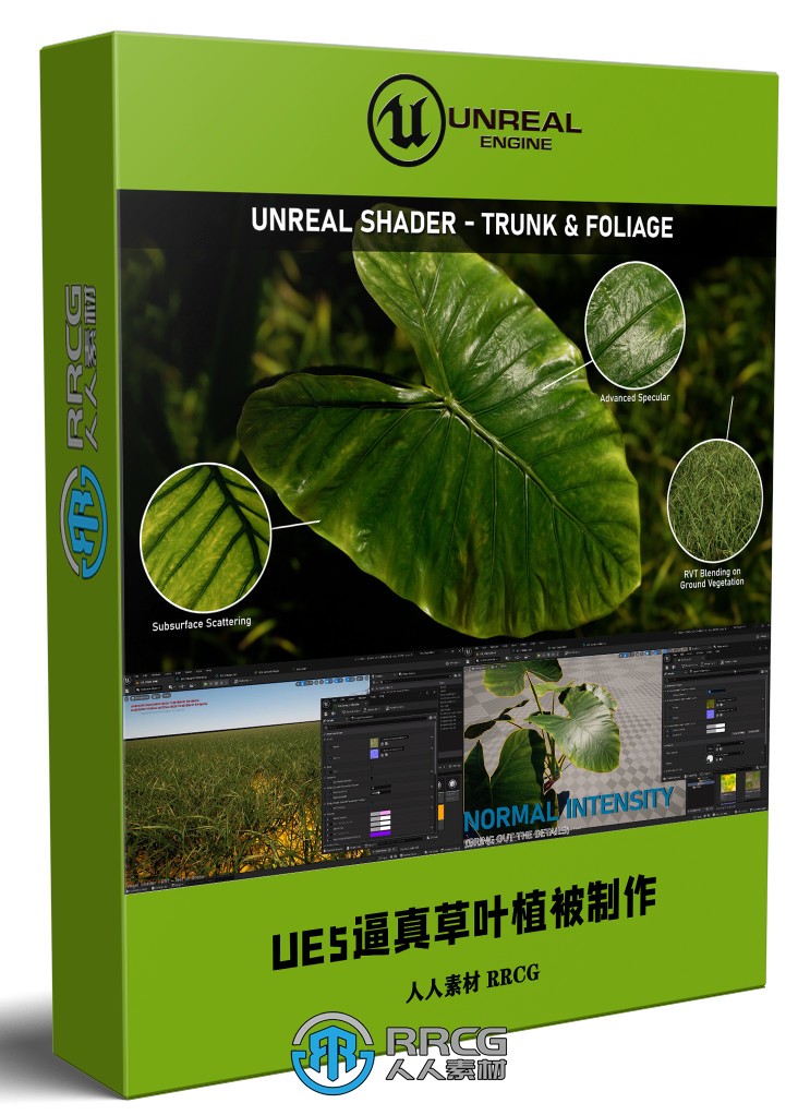 UE5虚幻引擎逼真草叶植被树木制作视频教程