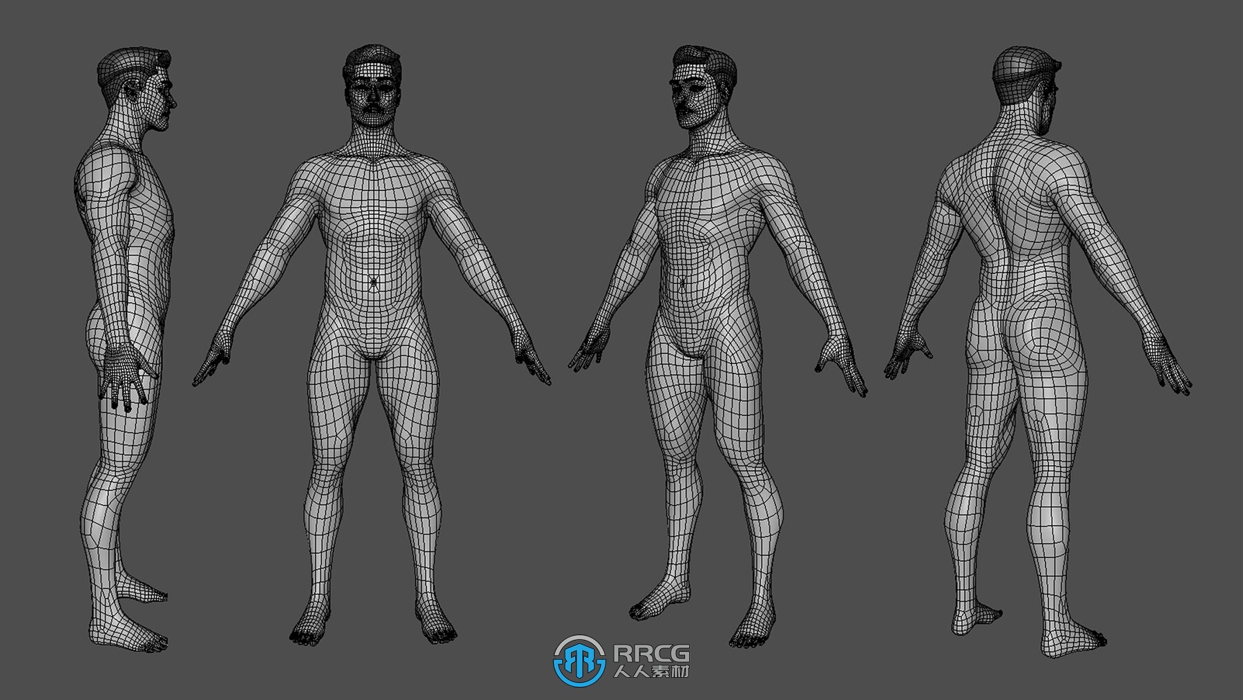 75组高质量完美拓扑结构展UV人类动物3D模型合集