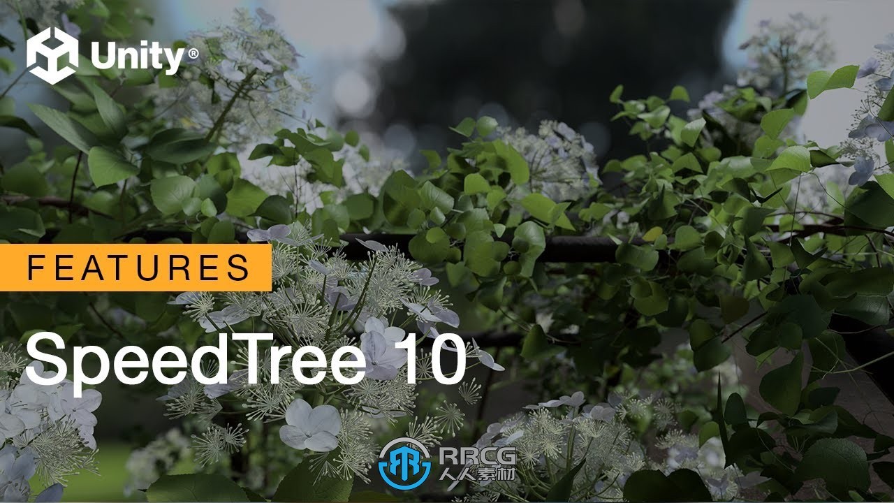 SpeedTree Modeler树木植物实时建模软件V10 Win与Mac版