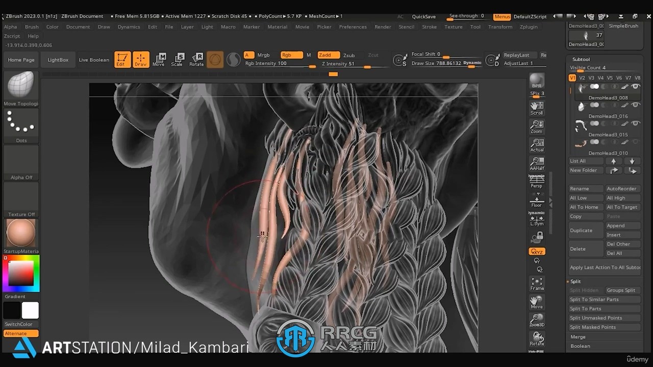 ZBrush矮人头部游戏角色雕刻建模视频教程