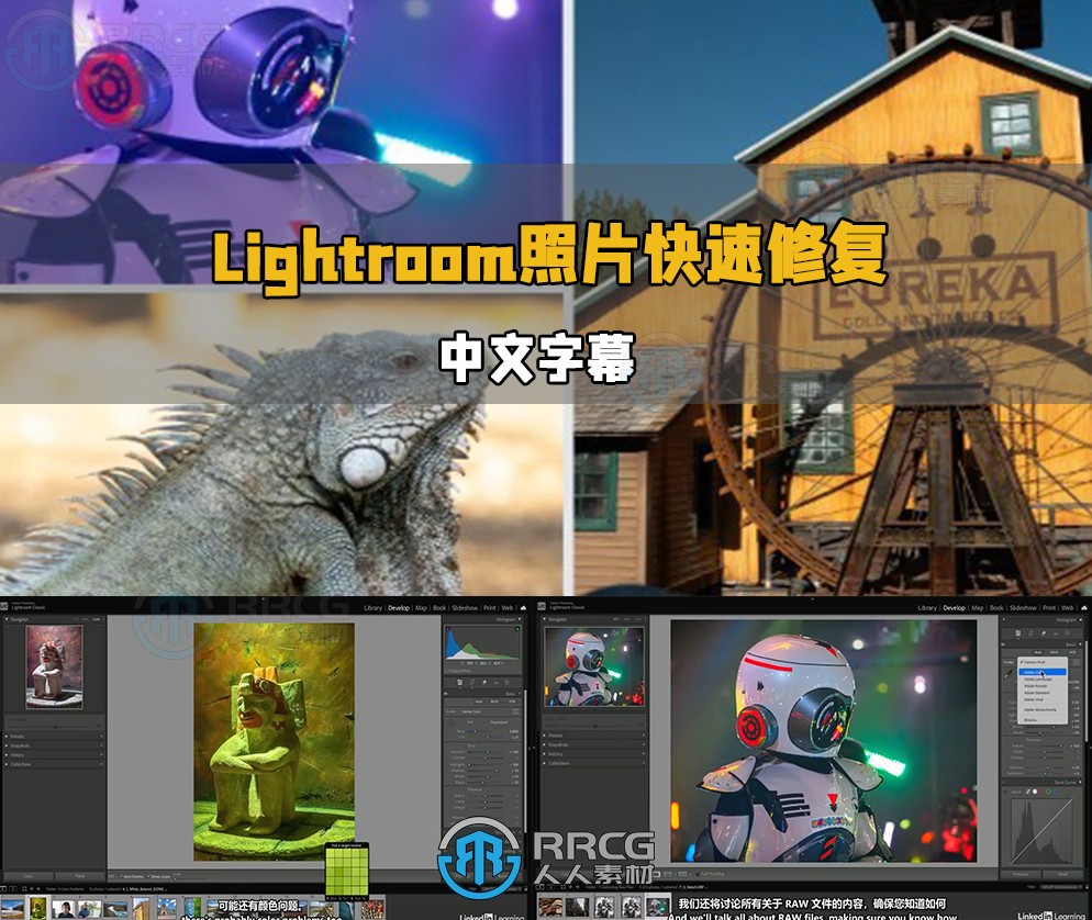 【中文字幕】Lightroom Classic照片快速修复小技巧训练视频教程