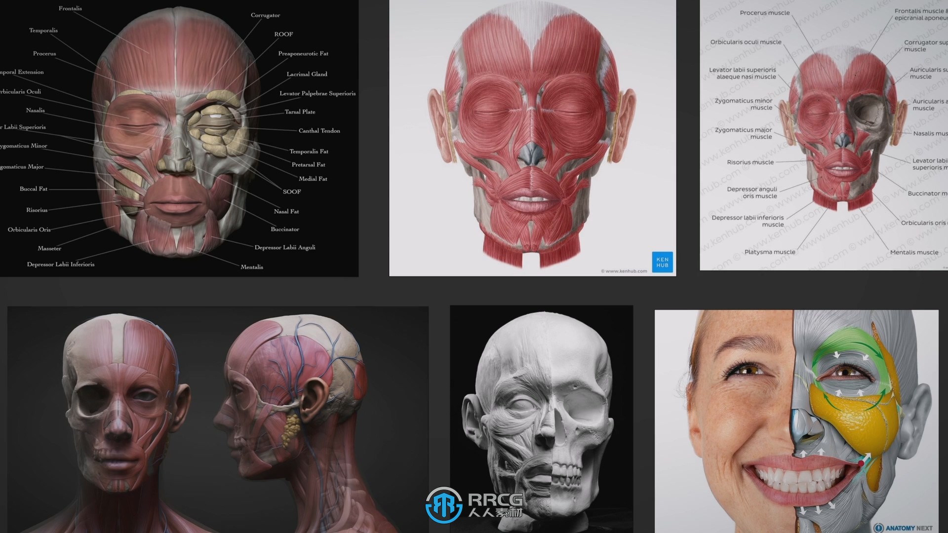 ZBrush与KeyShot逼真人物肖像制作视频教程