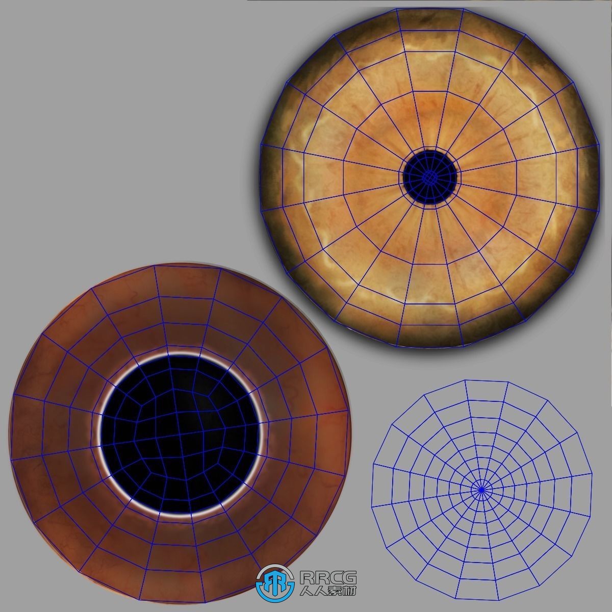 超逼真母狮子高模3D模型 附绑定动画