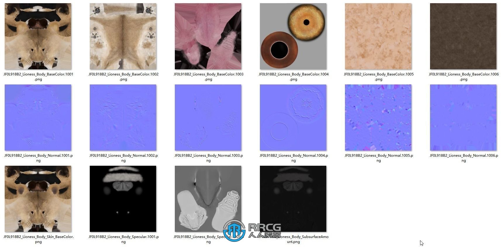 超逼真母狮子高模3D模型 附绑定动画