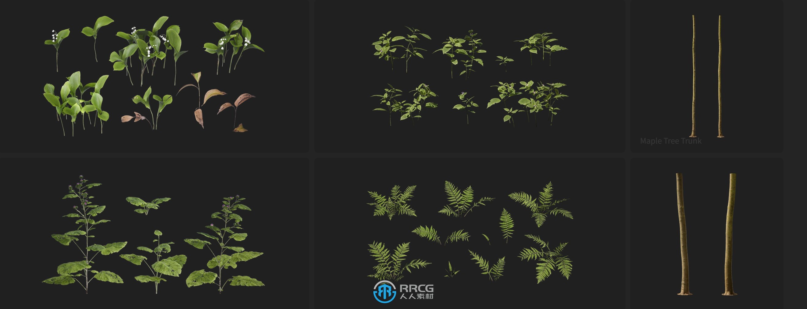 Megascans阔叶森林自然树木草石3D模型与材质合集