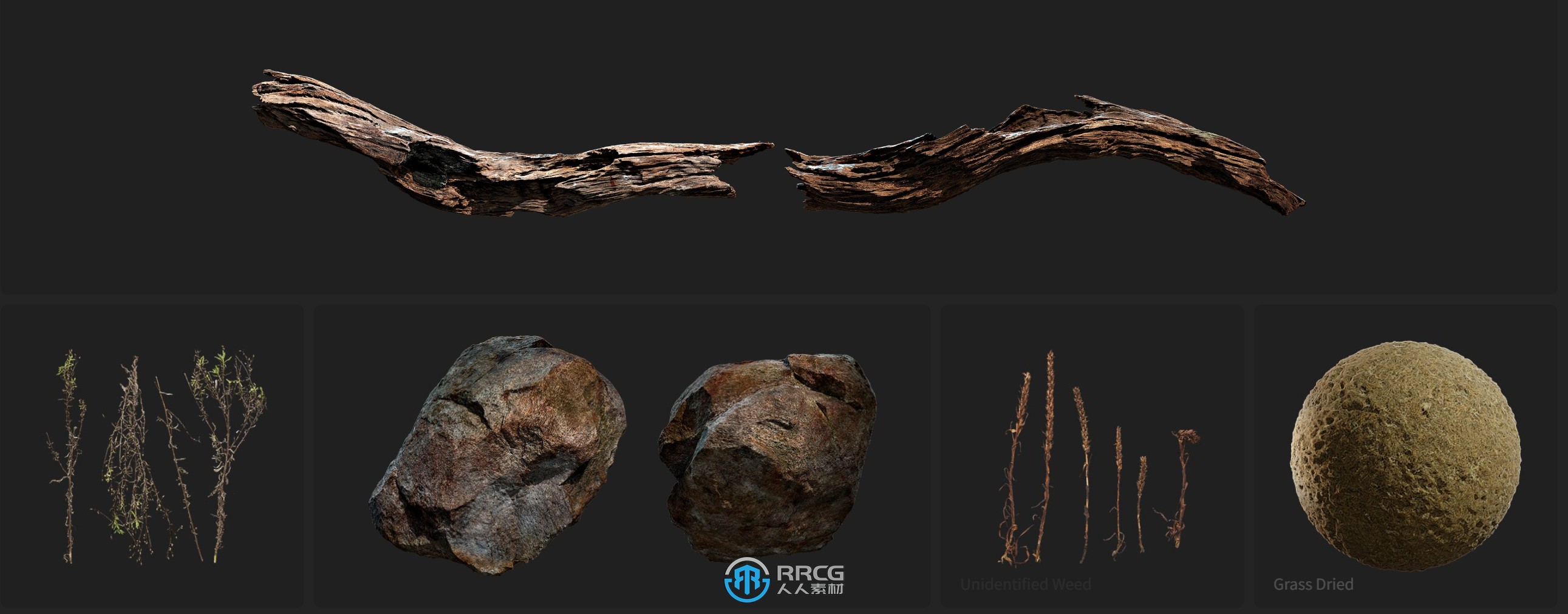 Megascans干草枯石自然植物树木树枝草木3D模型与材质合集