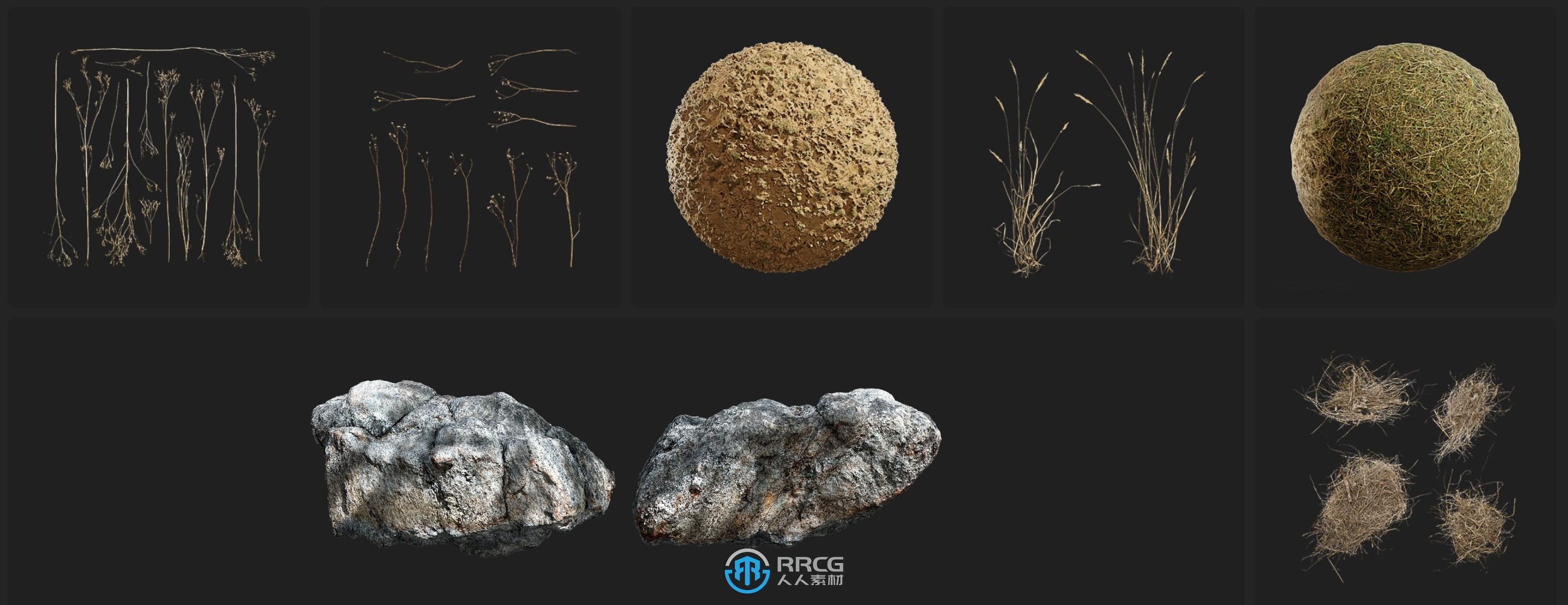 Megascans干草枯石自然植物树木树枝草木3D模型与材质合集