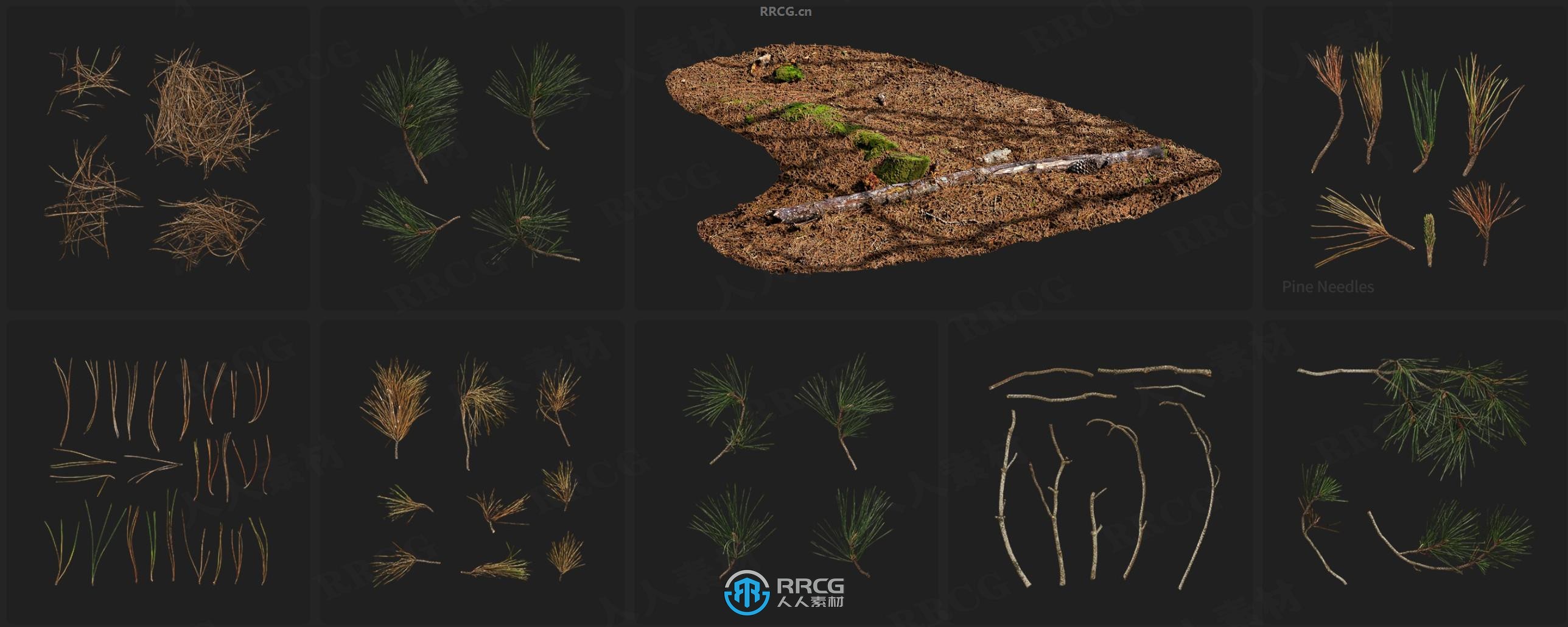 Megascans松树松针床树桩枯木树枝散落3D模型与材质合集