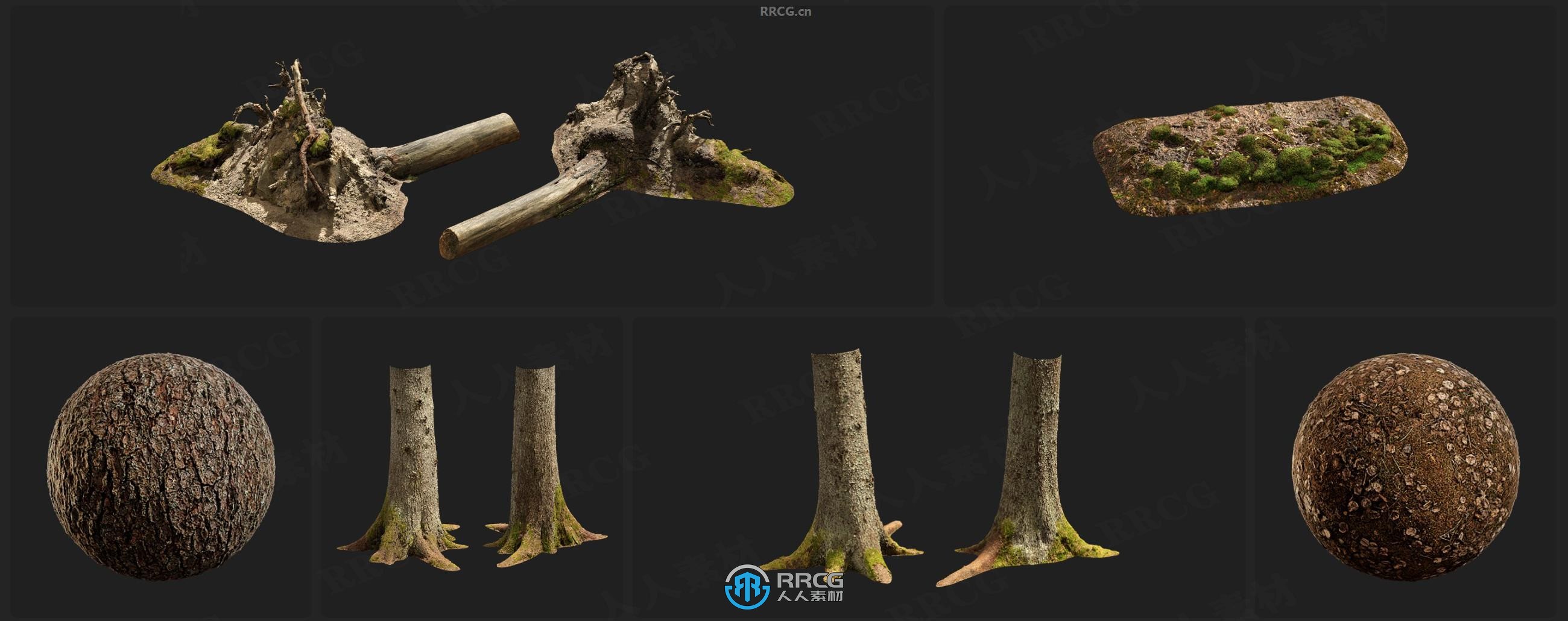 Megascans北欧森林树干岩石苔藓等相关3D模型与贴图合集