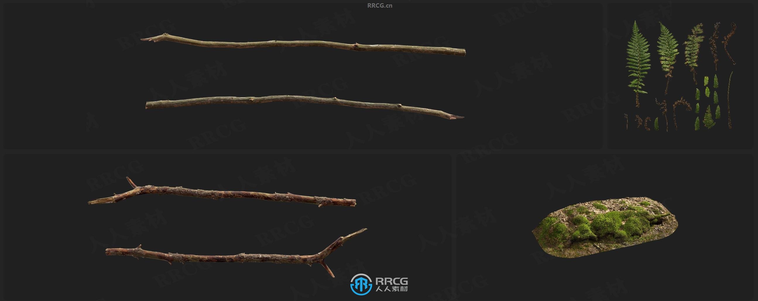 Megascans北欧森林树干岩石苔藓等相关3D模型与贴图合集