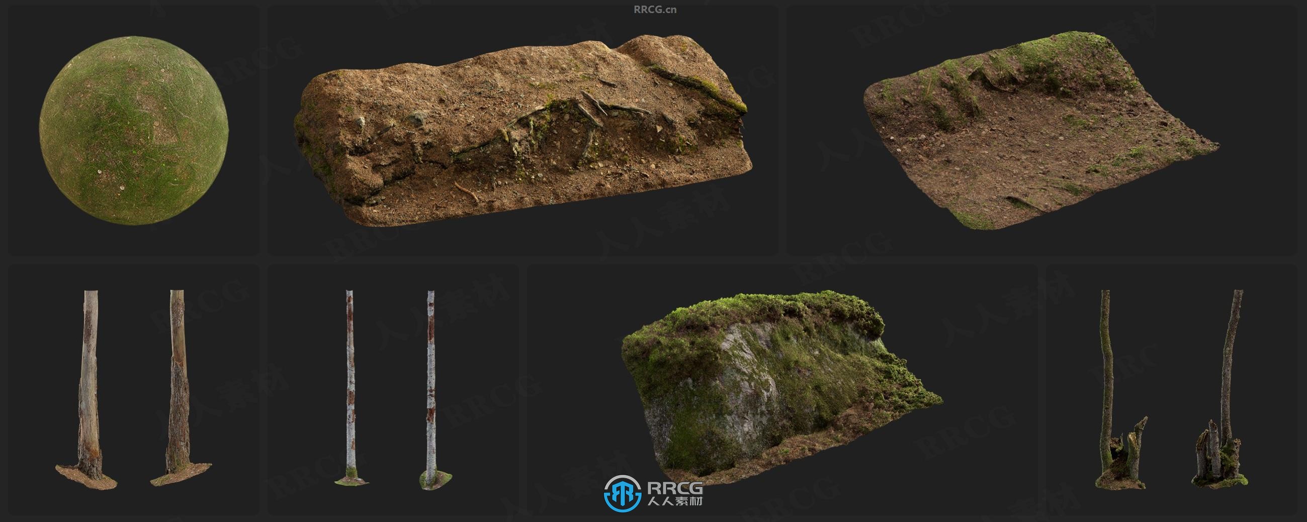 Megascans北欧森林树干岩石苔藓等相关3D模型与贴图合集