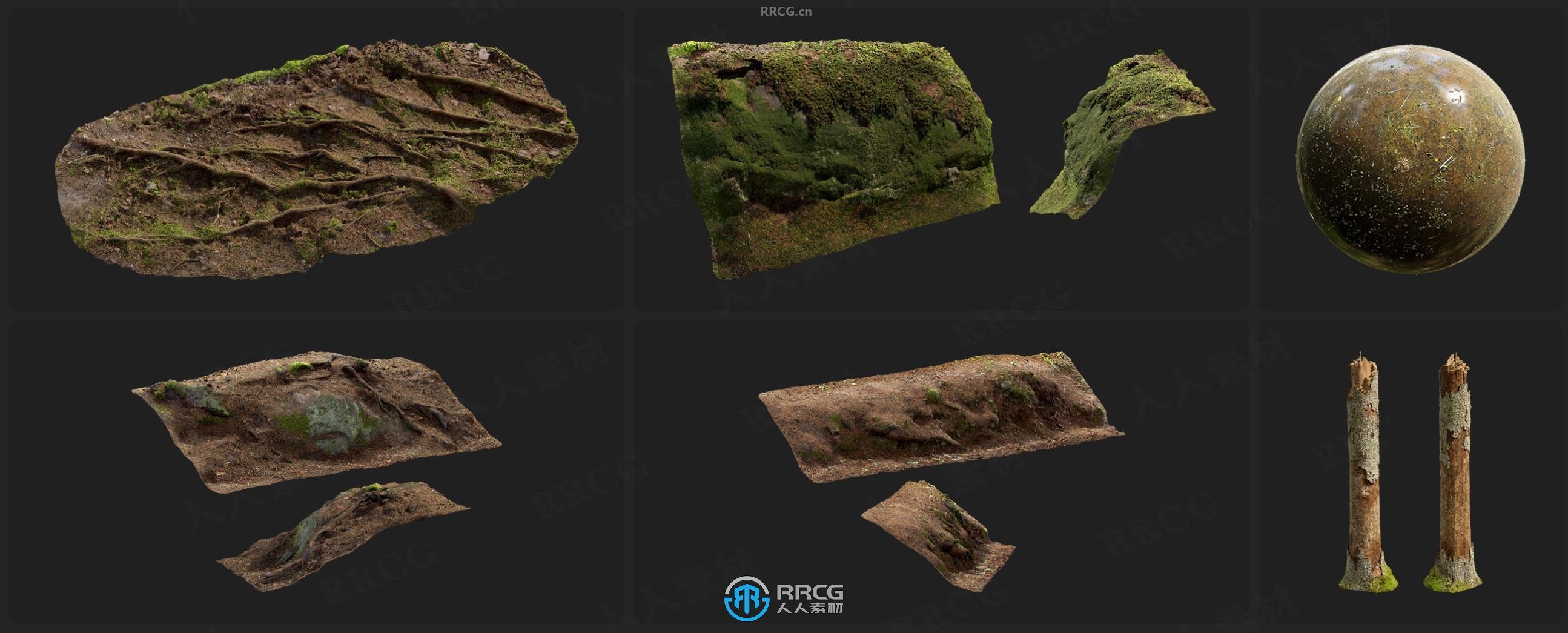 Megascans北欧森林树干岩石苔藓等相关3D模型与贴图合集