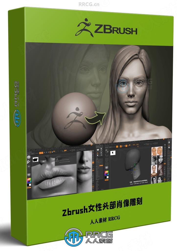 【中文字幕】Zbrush女性人物头部肖像数字雕刻流程视频教程