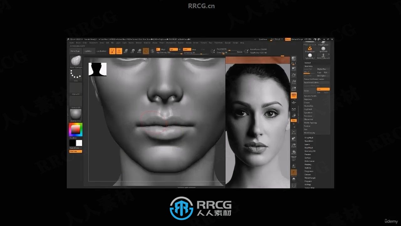 【中文字幕】Zbrush女性人物头部肖像数字雕刻流程视频教程