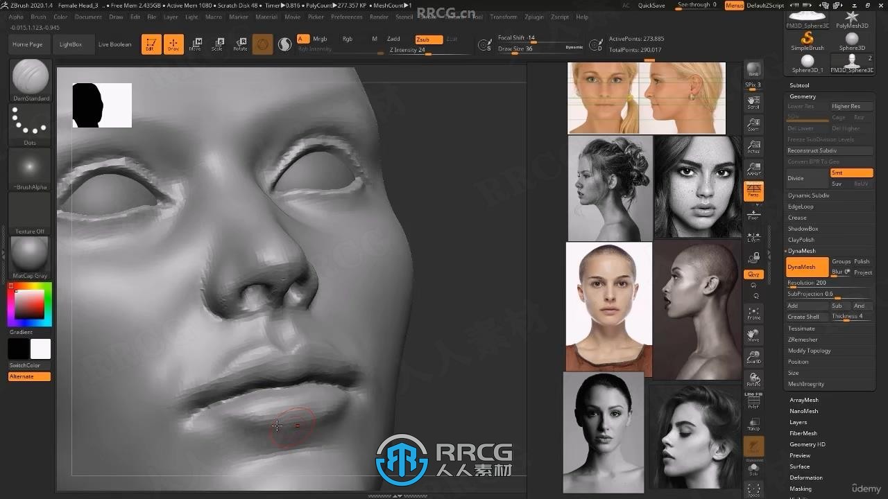 【中文字幕】Zbrush女性人物头部肖像数字雕刻流程视频教程