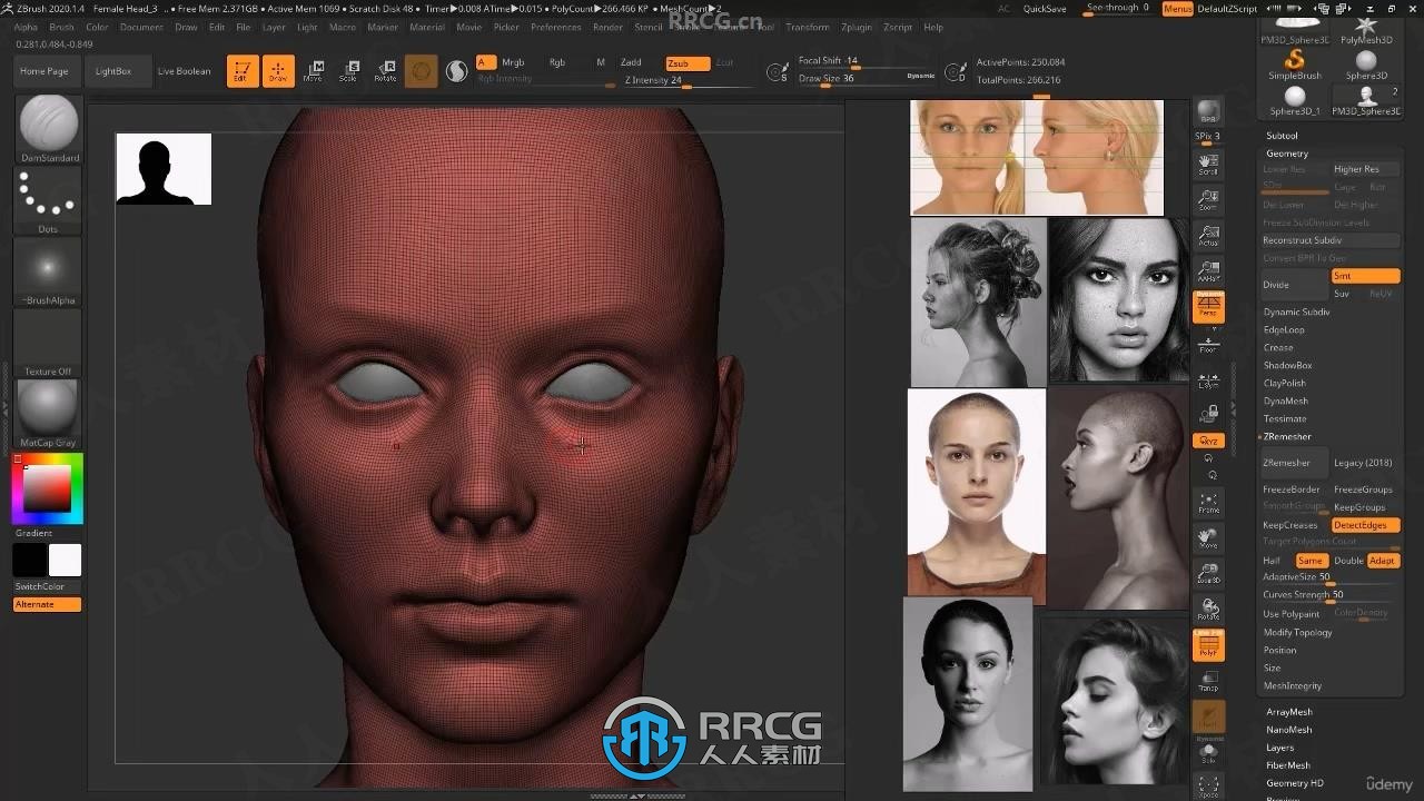 【中文字幕】Zbrush女性人物头部肖像数字雕刻流程视频教程