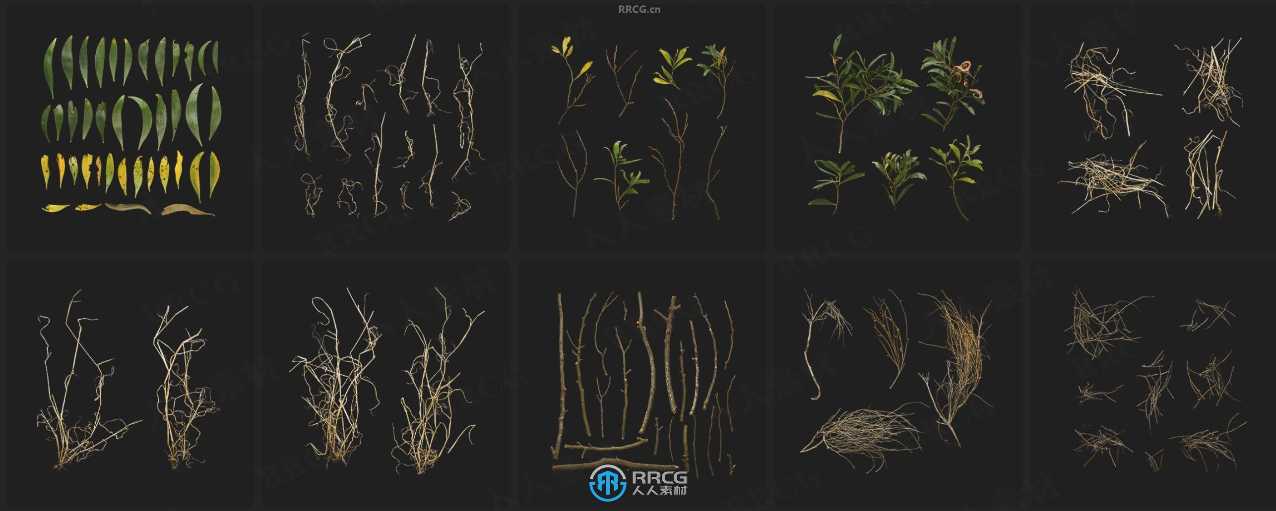 Megascans悬崖峭壁岩石沙子与植物相关3D模型与贴图合集