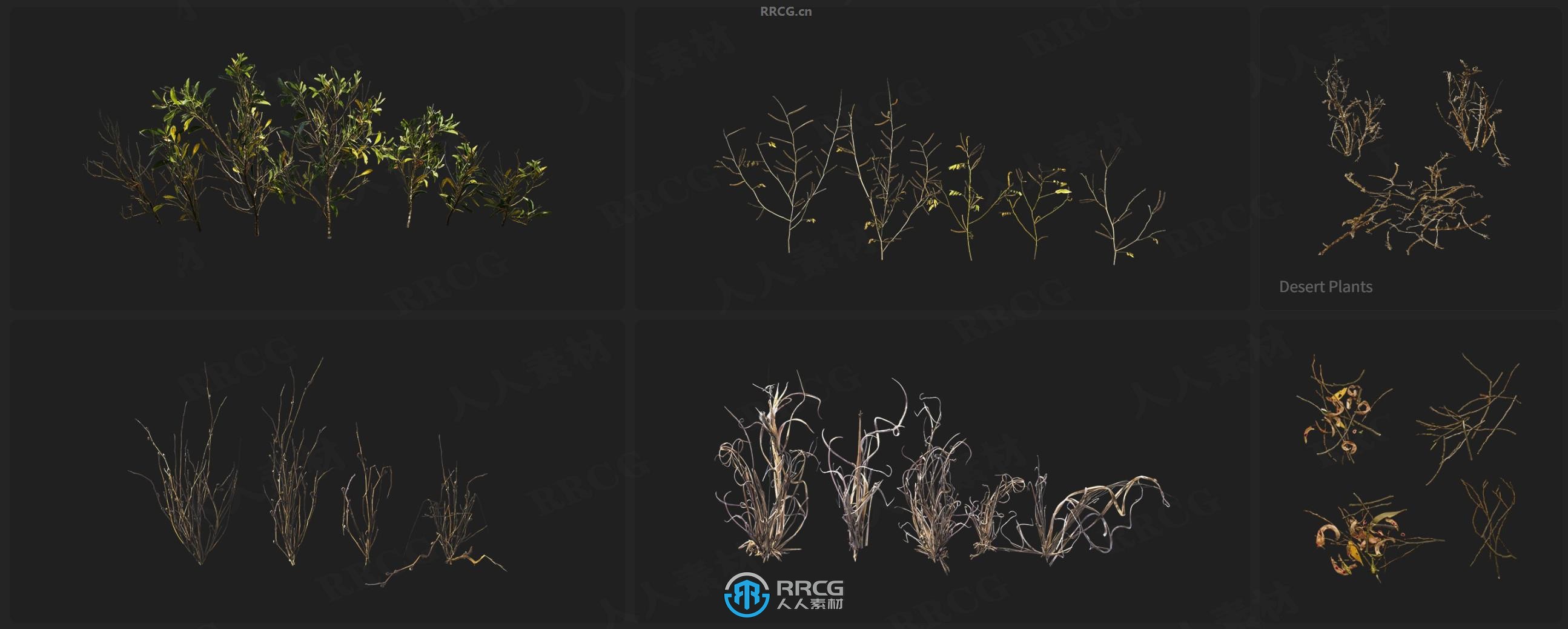 Megascans悬崖峭壁岩石沙子与植物相关3D模型与贴图合集