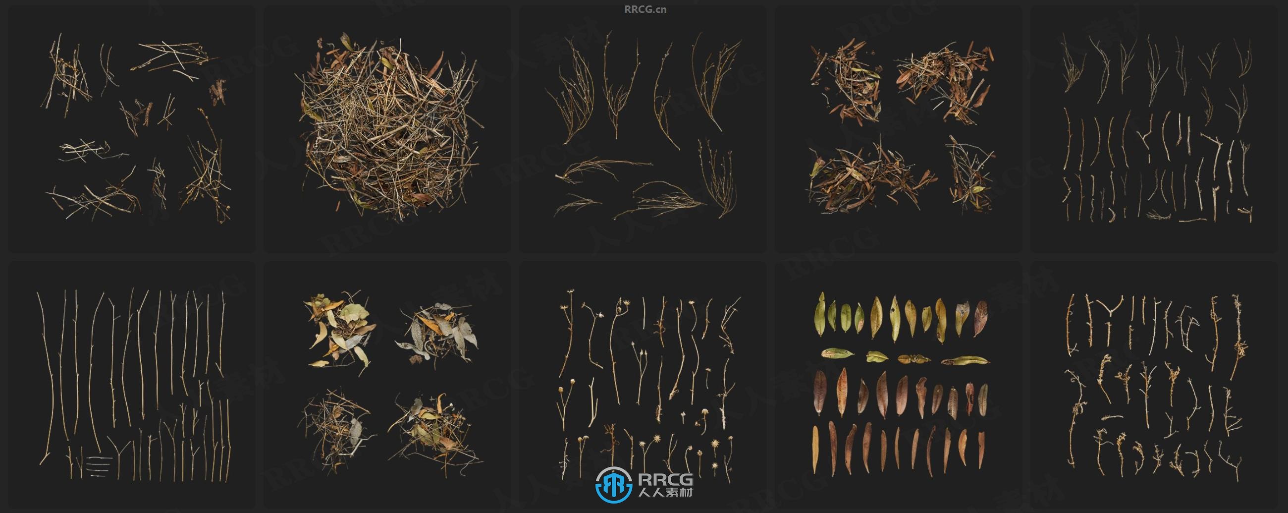 Megascans悬崖峭壁岩石沙子与植物相关3D模型与贴图合集