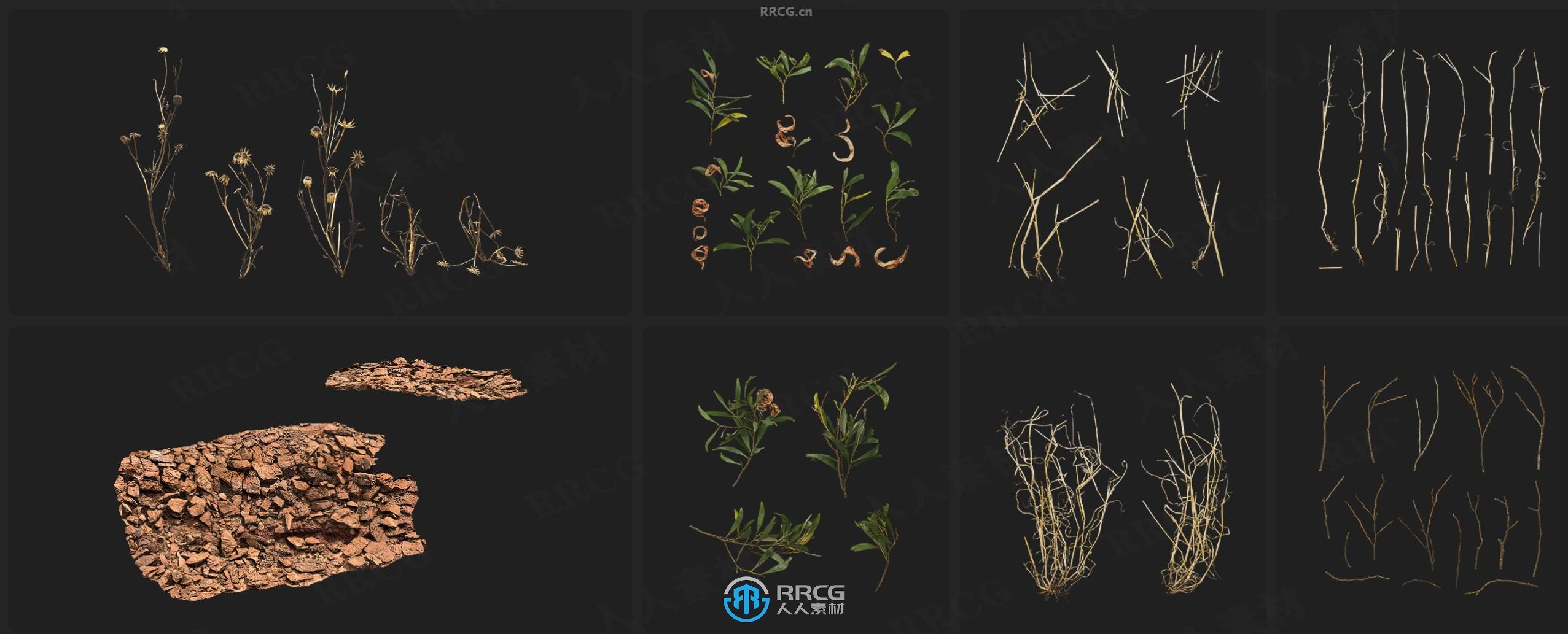 Megascans悬崖峭壁岩石沙子与植物相关3D模型与贴图合集