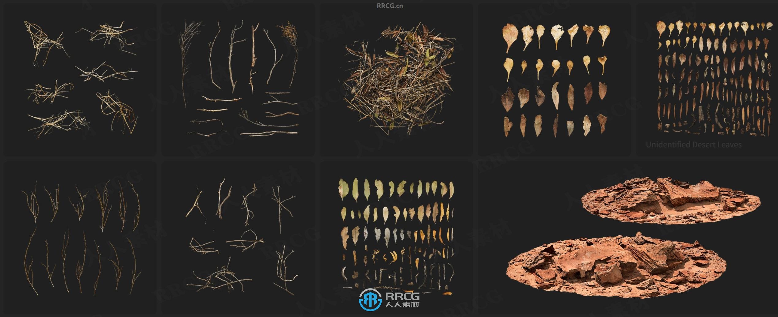 Megascans悬崖峭壁岩石沙子与植物相关3D模型与贴图合集