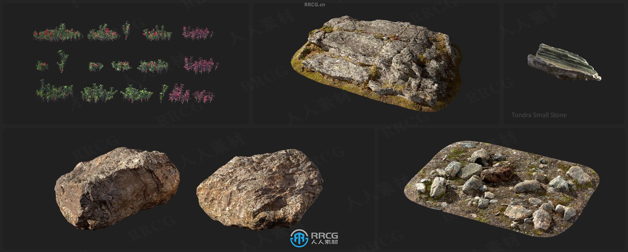 Megascans苔藓岩石植物巨石相关3D模型与贴图合集